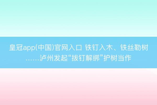 皇冠app(中国)官网入口 铁钉入木、铁丝勒树……泸州发起“拔钉解绑”护树当作