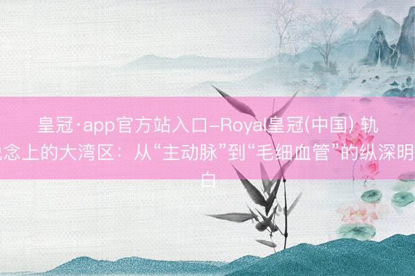 皇冠·app官方站入口-Royal皇冠(中国) 轨说念上的大湾区：从“主动脉”到“毛细血管”的纵深明白