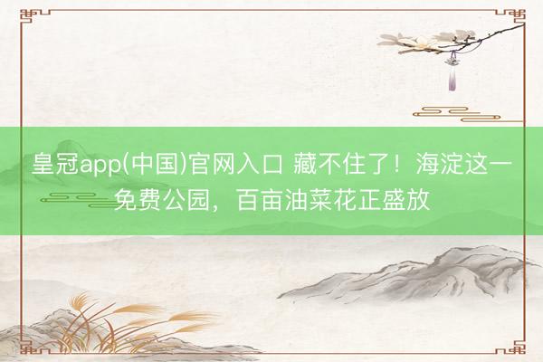 皇冠app(中国)官网入口 藏不住了！海淀这一免费公园，百亩油菜花正盛放
