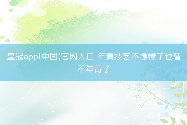 皇冠app(中国)官网入口 年青技艺不懂懂了也曾不年青了