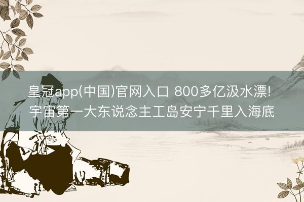 皇冠app(中国)官网入口 800多亿汲水漂! 宇宙第一大东说念主工岛安宁千里入海底