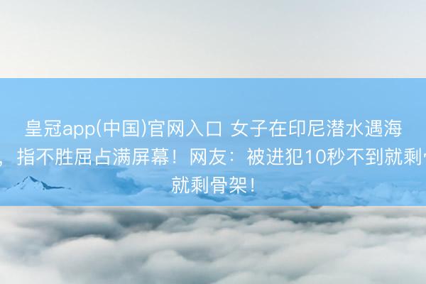 皇冠app(中国)官网入口 女子在印尼潜水遇海狼群，指不胜屈占满屏幕！网友：被进犯10秒不到就剩骨架！
