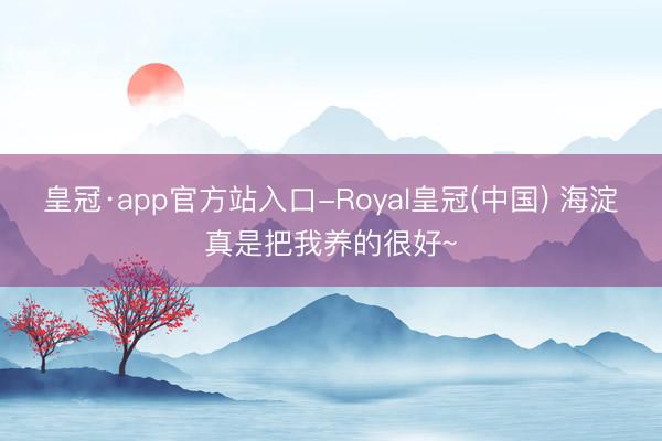 皇冠·app官方站入口-Royal皇冠(中国) 海淀真是把我养的很好~