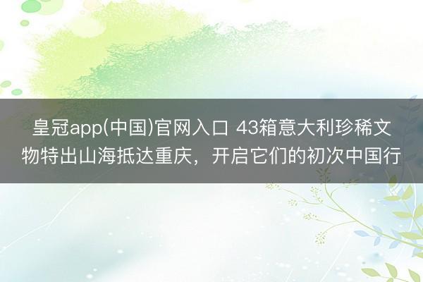 皇冠app(中国)官网入口 43箱意大利珍稀文物特出山海抵达重庆，开启它们的初次中国行